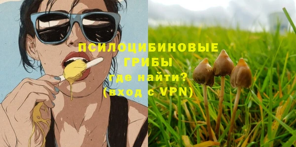 дживик Алексеевка