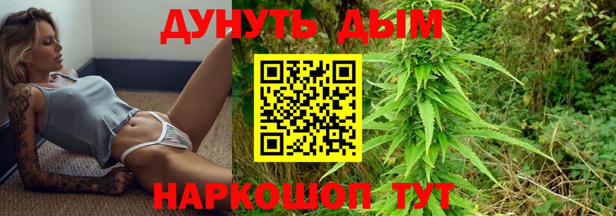 Канабис ГИДРОПОН Алексеевка